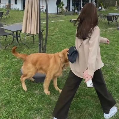山羊生活